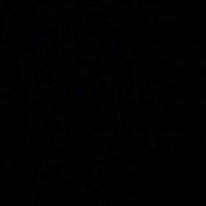 Meet your Posher, Fabiola